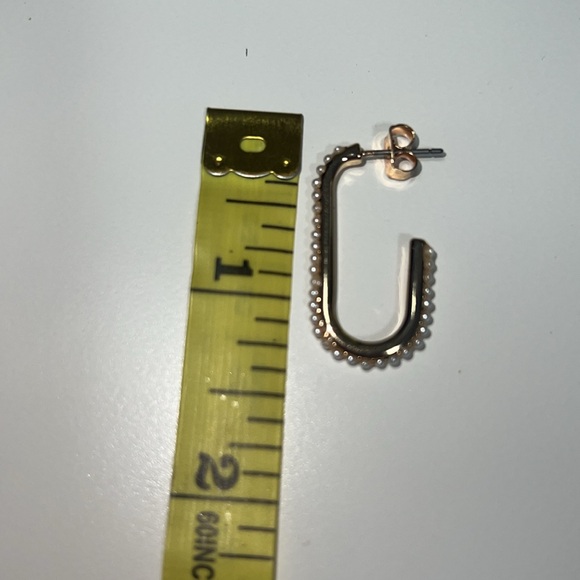 Francesca’s beautiful earrings - Picture 3 of 5